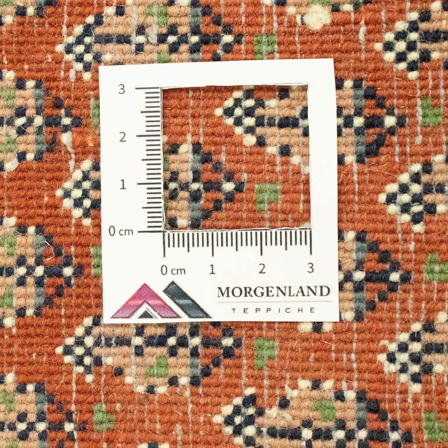 Alfombra de pasillo Alfombra persa - Mir - 294 x 78 cm - óxido
