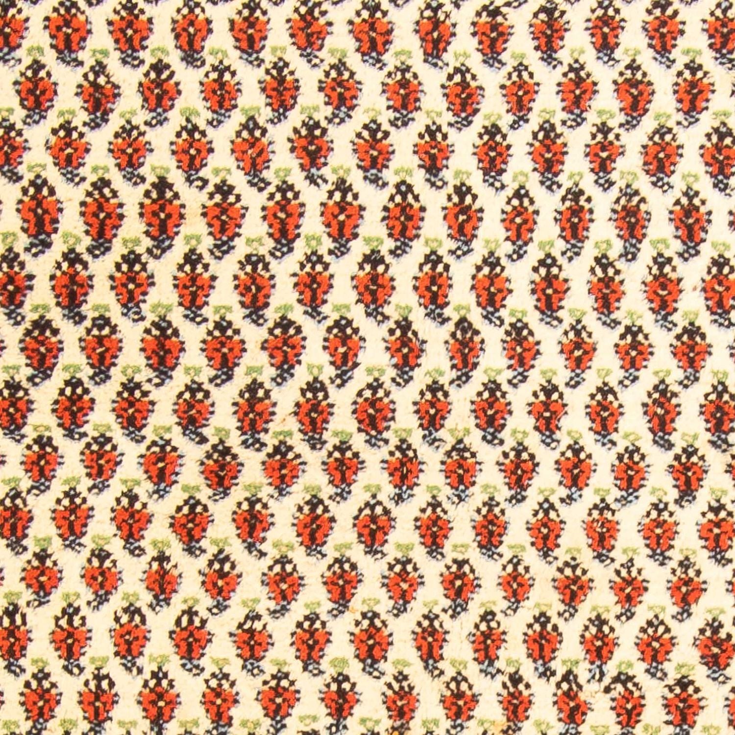 Alfombra oriental - Mir - Indus - 238 x 174 cm - beige