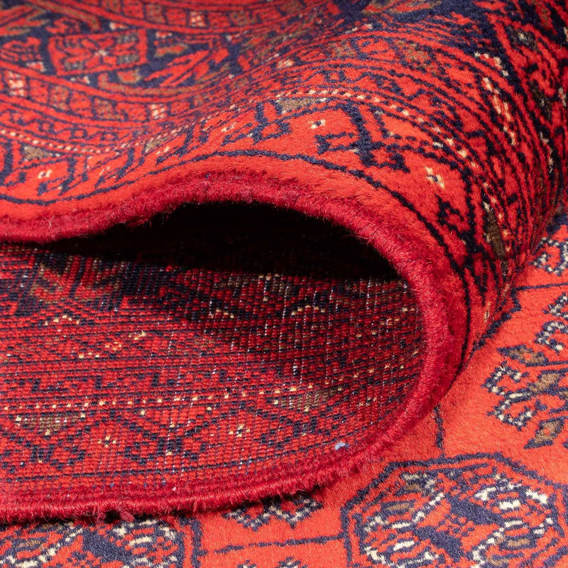 Alfombra afgana - 285 x 198 cm - rojo