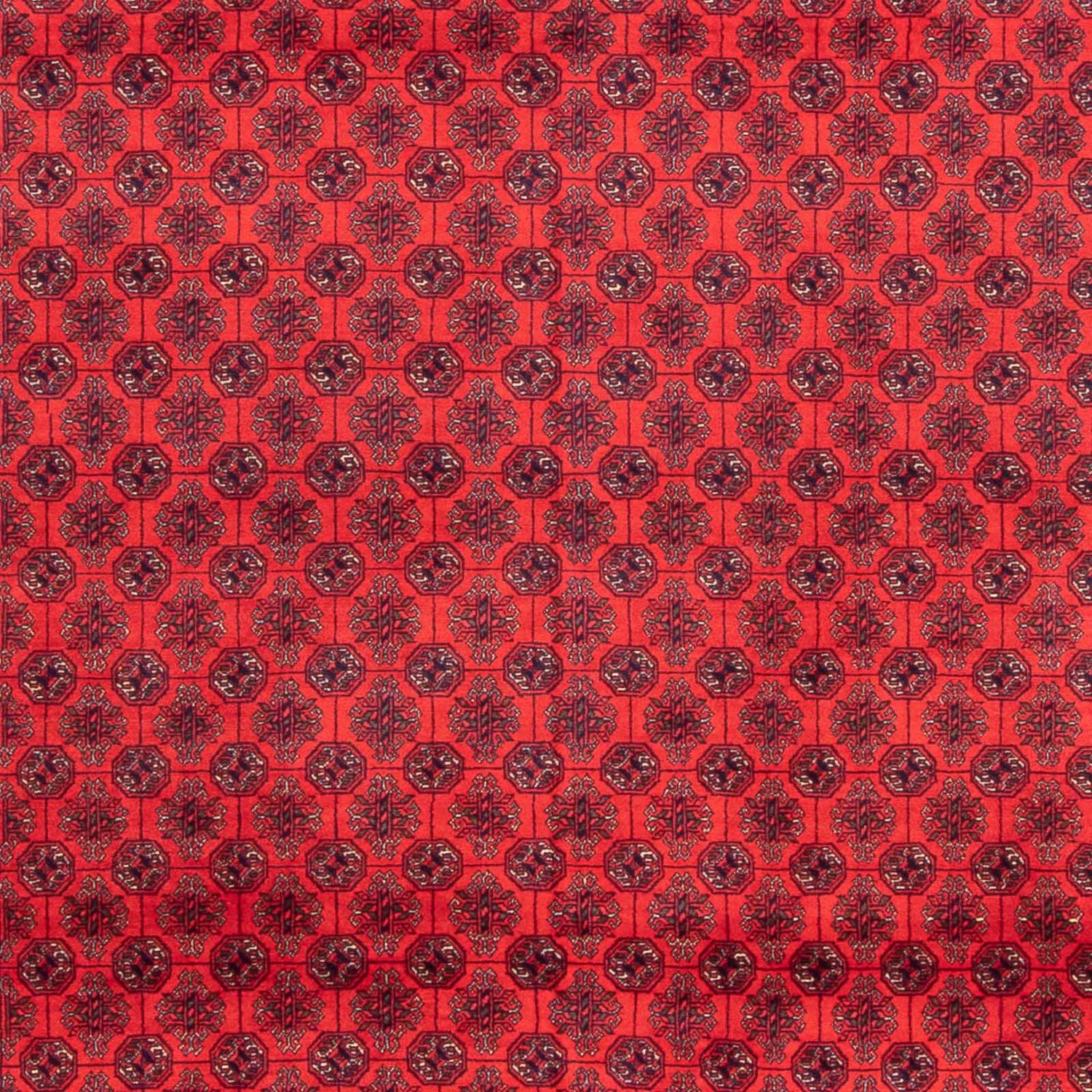 Alfombra afgana - 387 x 298 cm - rojo