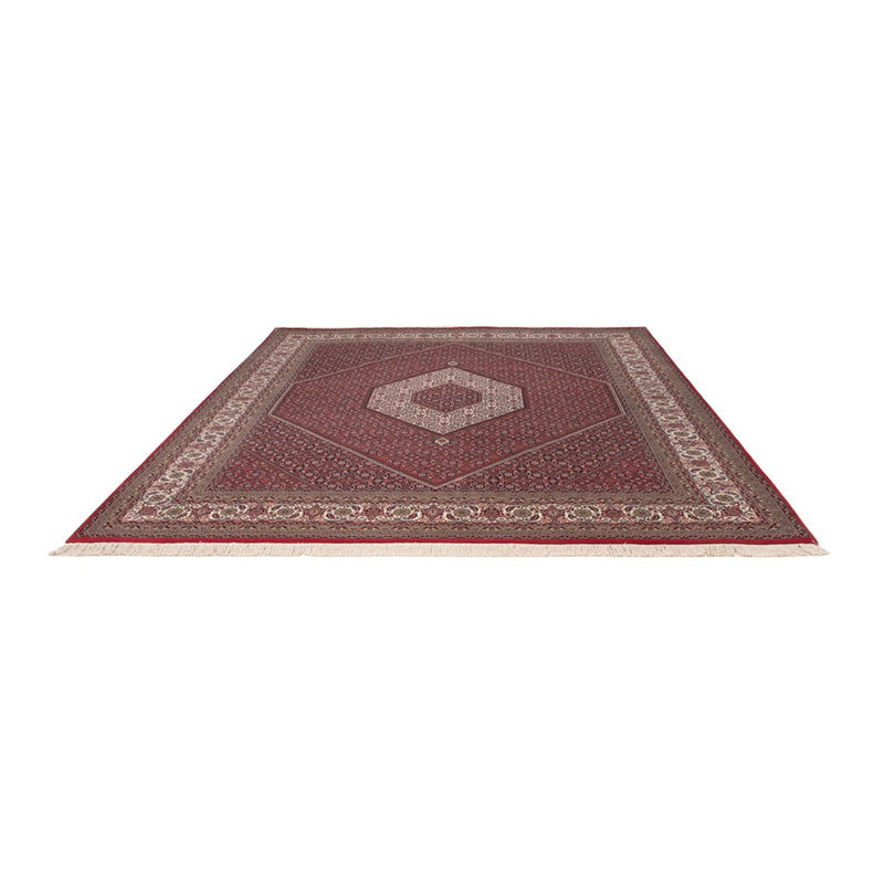 Alfombra oriental - Bidjar - Indus - 305 x 251 cm - rojo oscuro