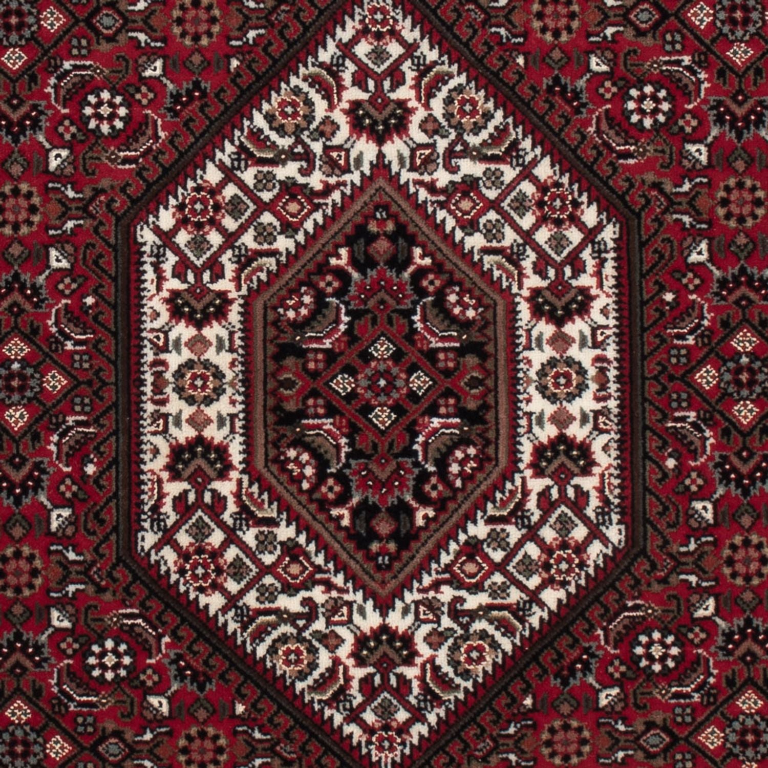Alfombra oriental - Bidjar - Indus - 159 x 91 cm - beige oscuro