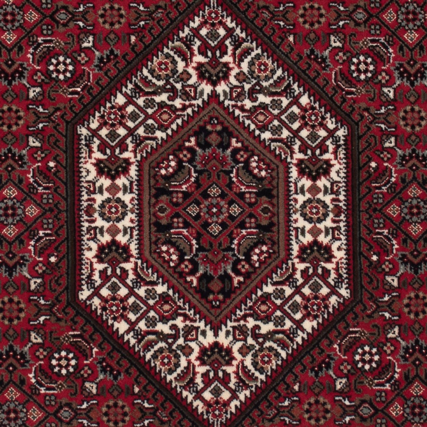 Alfombra oriental - Bidjar - Indus - 160 x 92 cm - beige oscuro