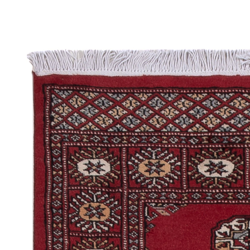 Alfombra de pasillo Alfombra Pakistani - 289 x 78 cm - rojo