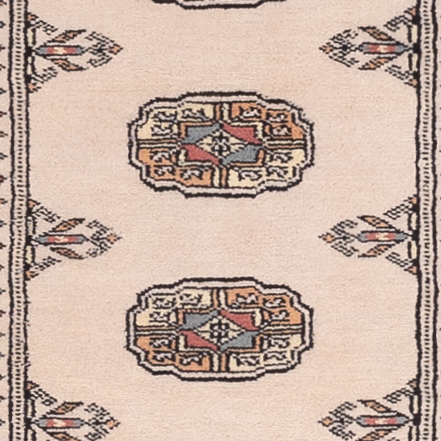 Alfombra de pasillo Alfombra Pakistani - 315 x 79 cm - beige