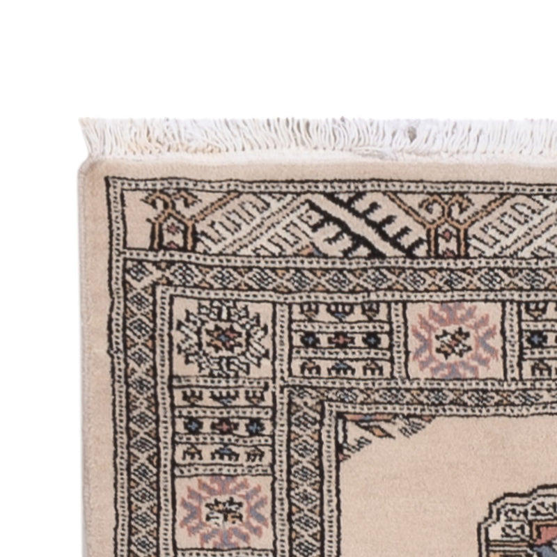 Alfombra de pasillo Alfombra Pakistani - 310 x 79 cm - beige