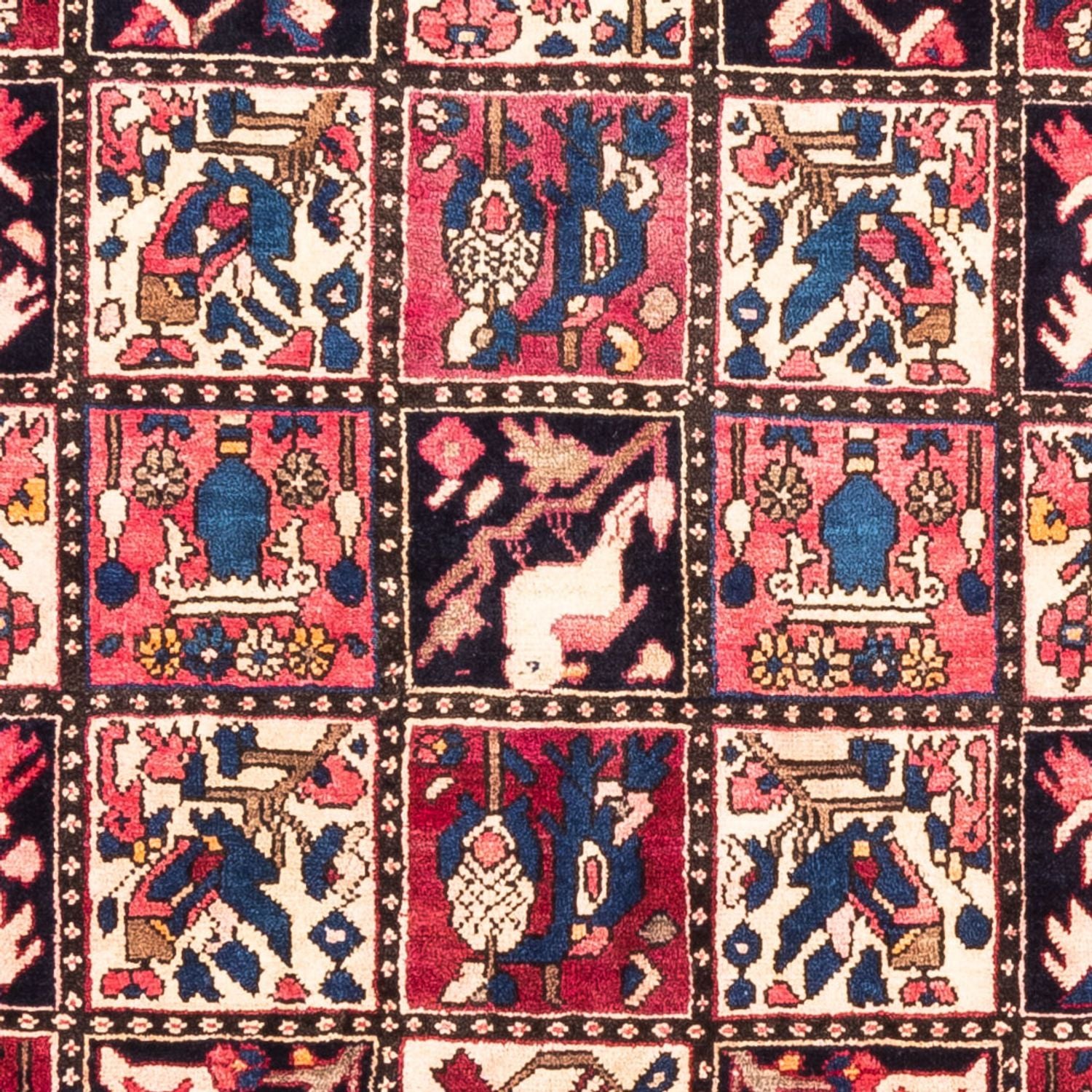 Alfombra persa - Nómada - 300 x 160 cm - multicolor