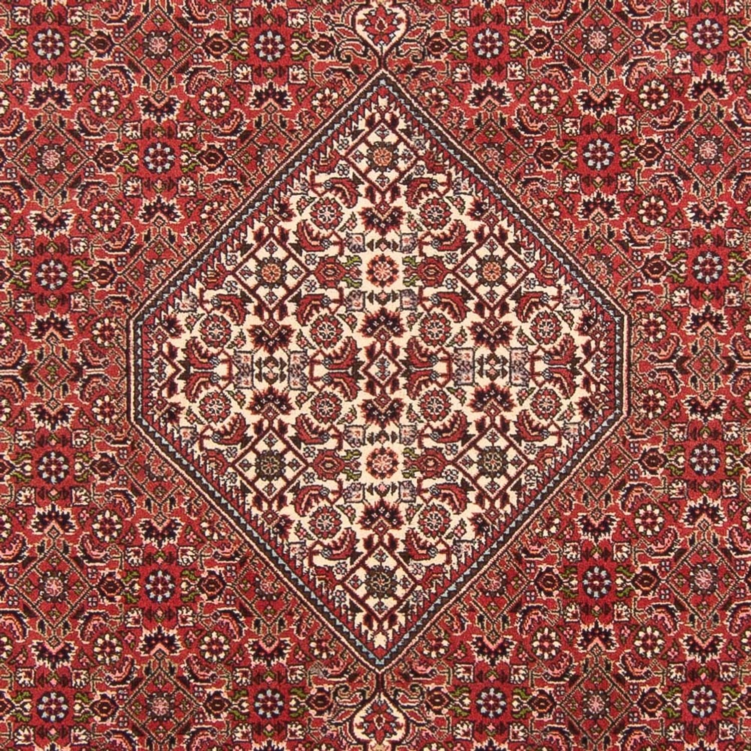 Alfombra persa - Bidjar - 290 x 202 cm - rojo