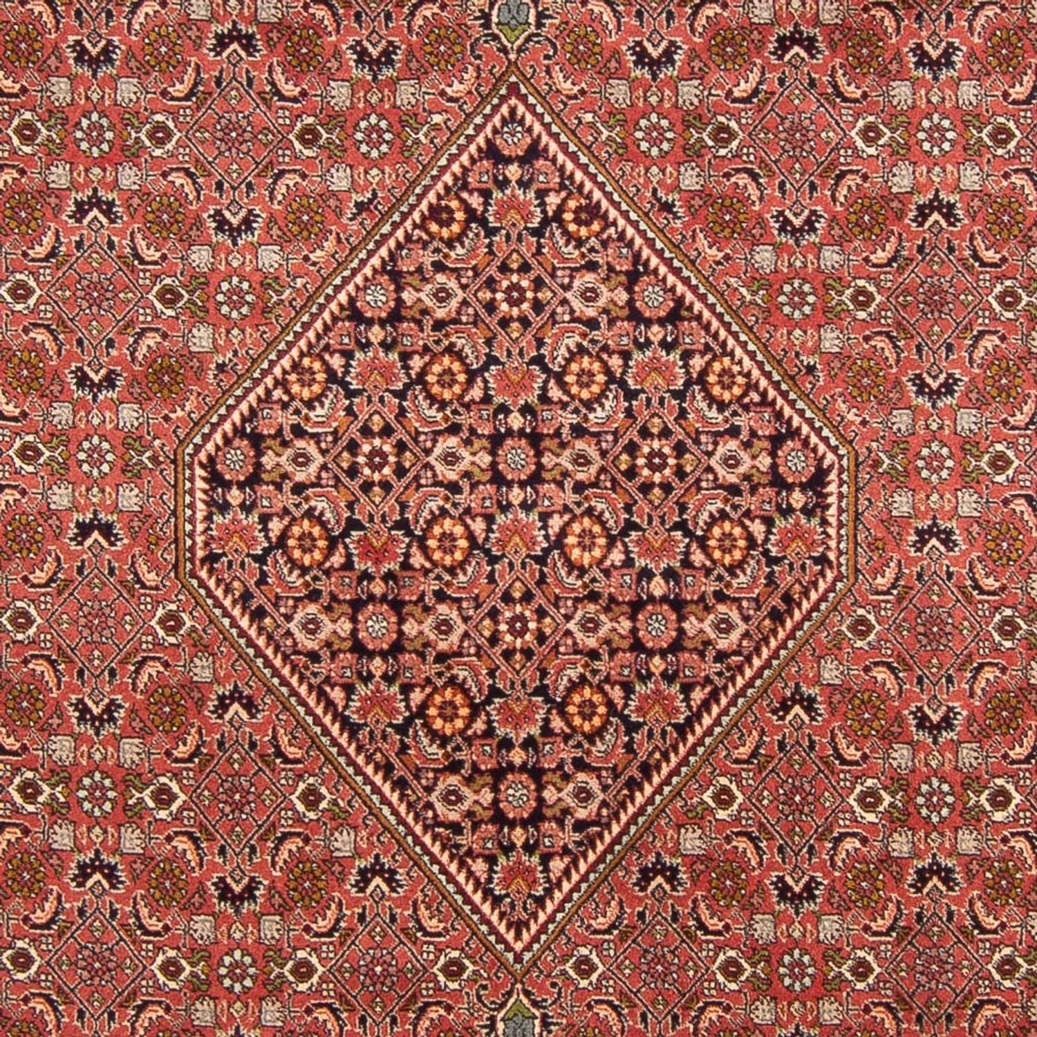 Alfombra persa - Bidjar - 300 x 200 cm - rojo