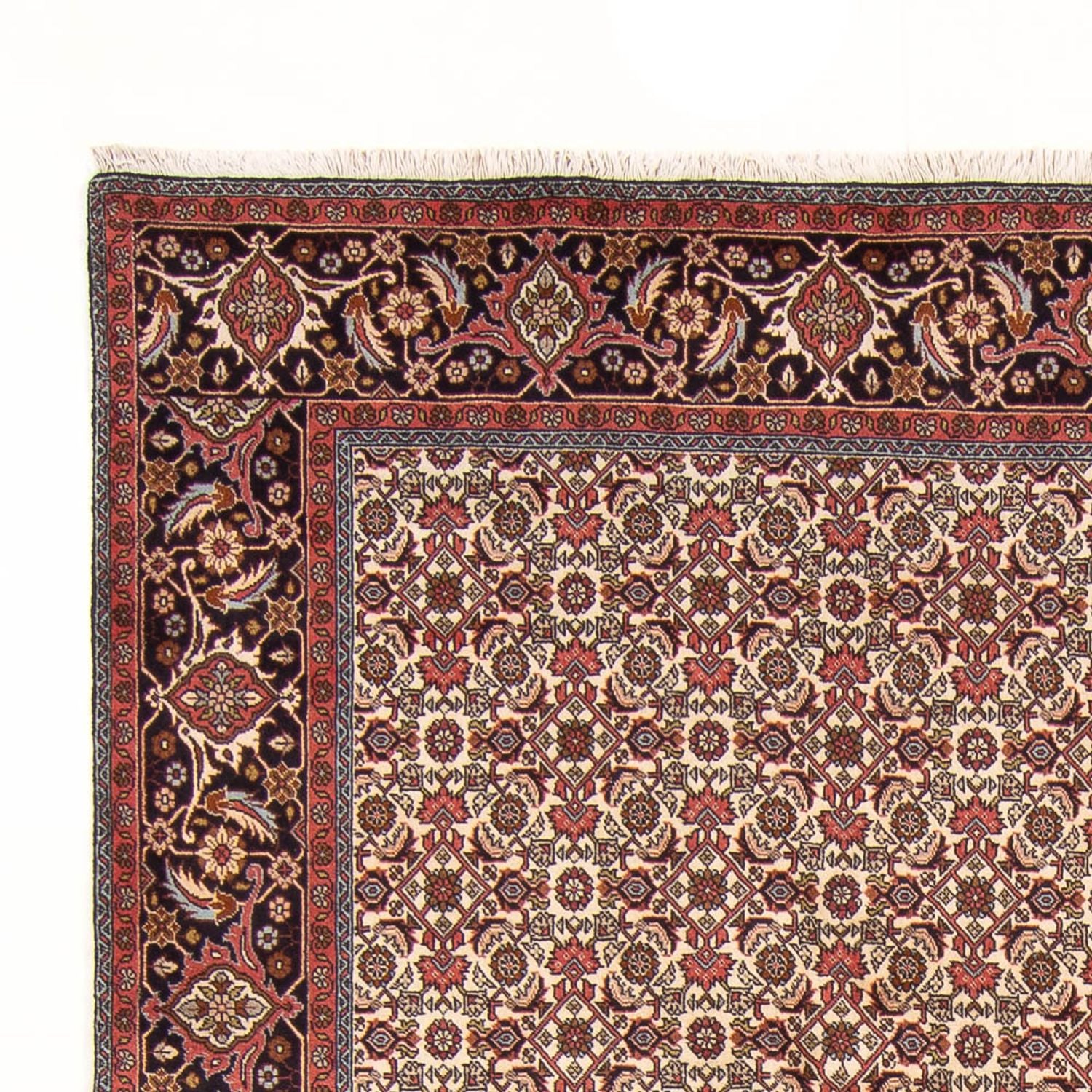 Alfombra persa - Bidjar - 290 x 200 cm - crema
