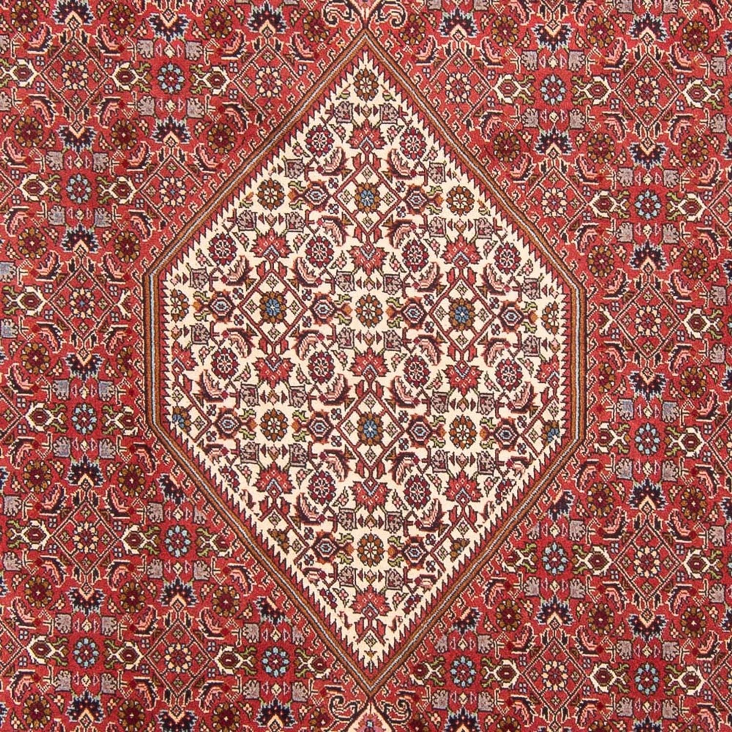 Alfombra persa - Bidjar - 310 x 203 cm - rojo