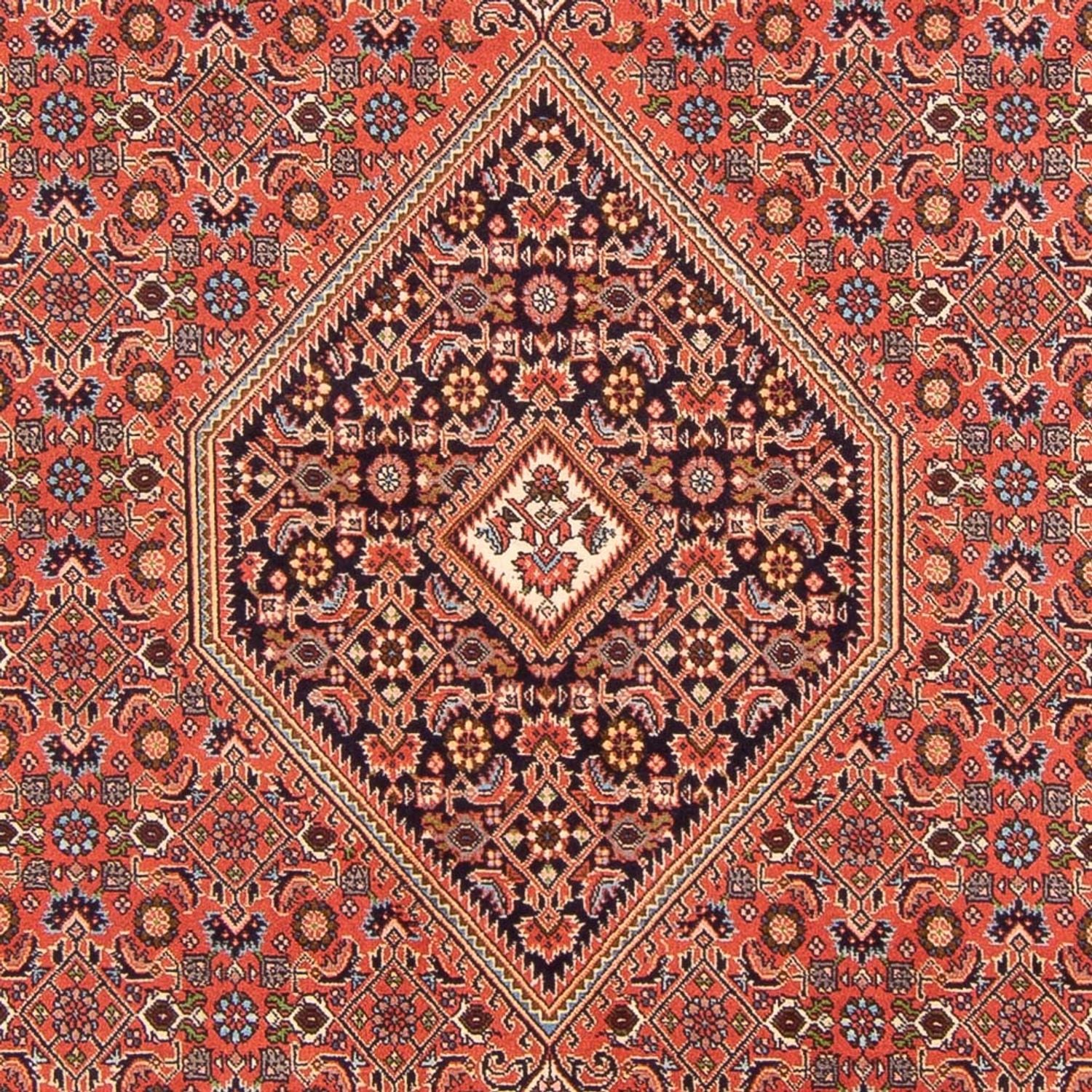 Alfombra persa - Bidjar - 300 x 200 cm - rojo