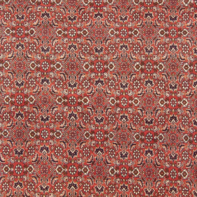 Alfombra persa - Bidjar - 305 x 200 cm - rojo