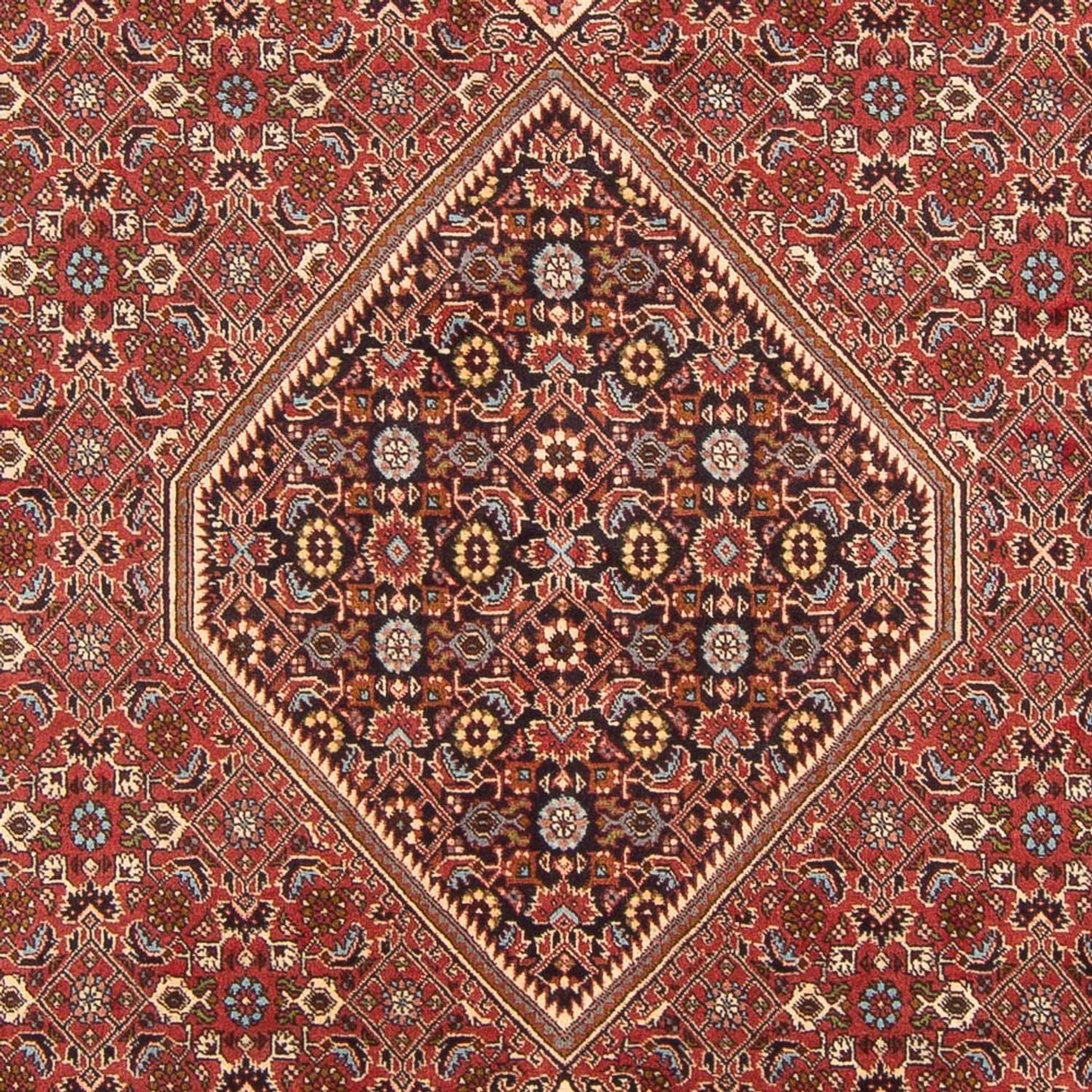 Alfombra persa - Bidjar - 307 x 203 cm - rojo