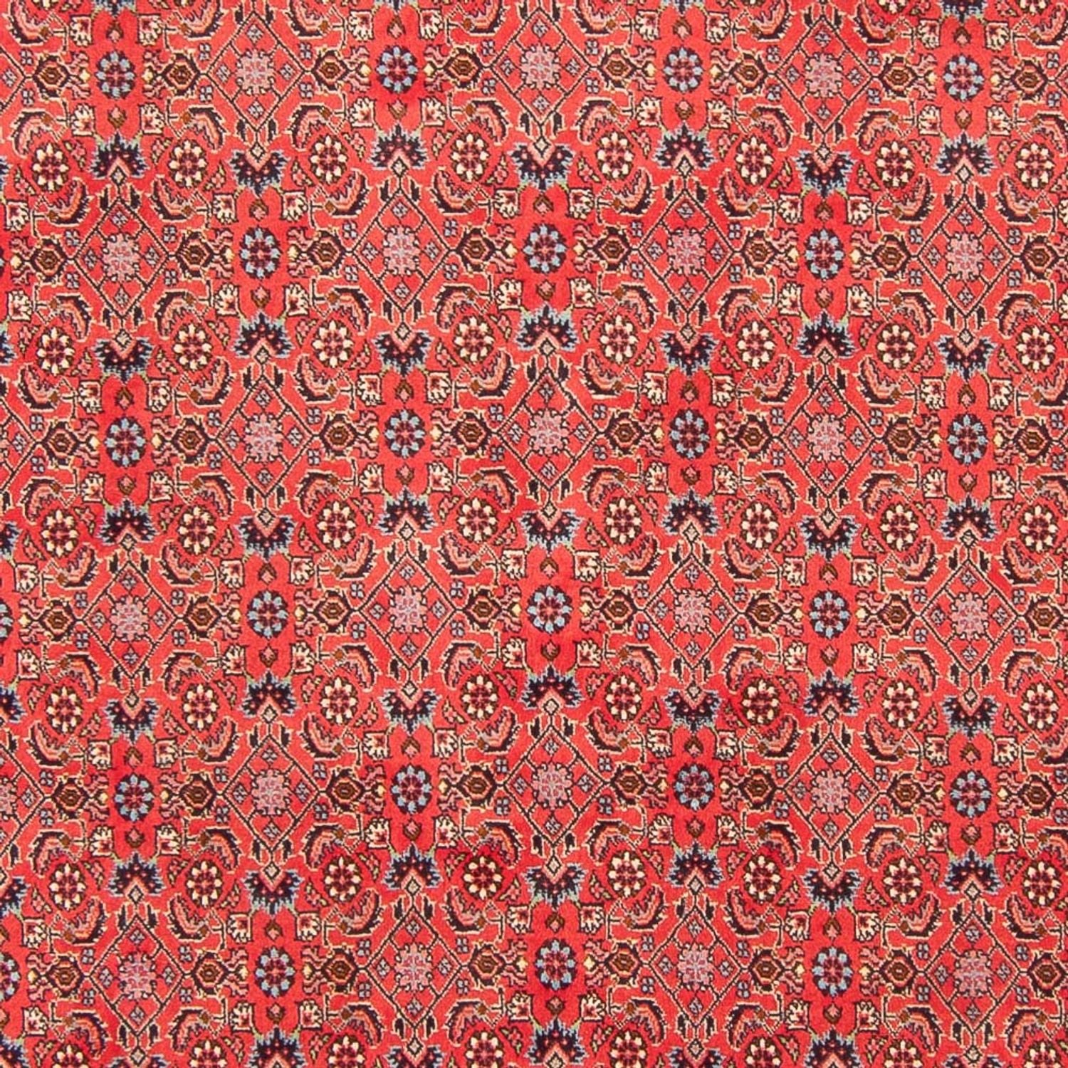 Alfombra persa - Bidjar - 294 x 200 cm - rojo