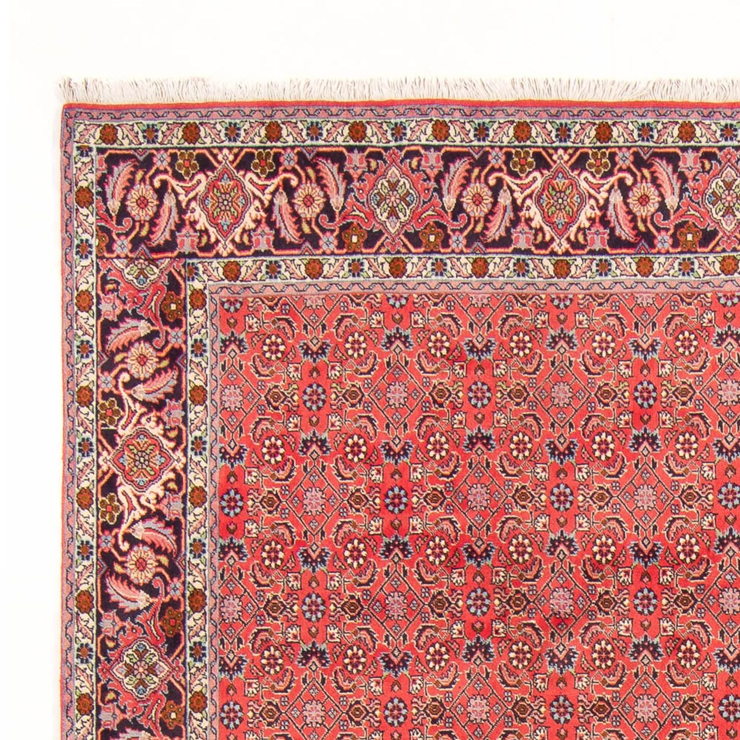 Alfombra persa - Bidjar - 294 x 200 cm - rojo