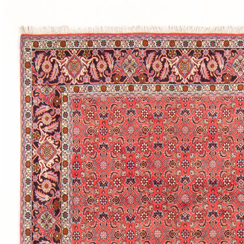Alfombra persa - Bidjar - 294 x 200 cm - rojo