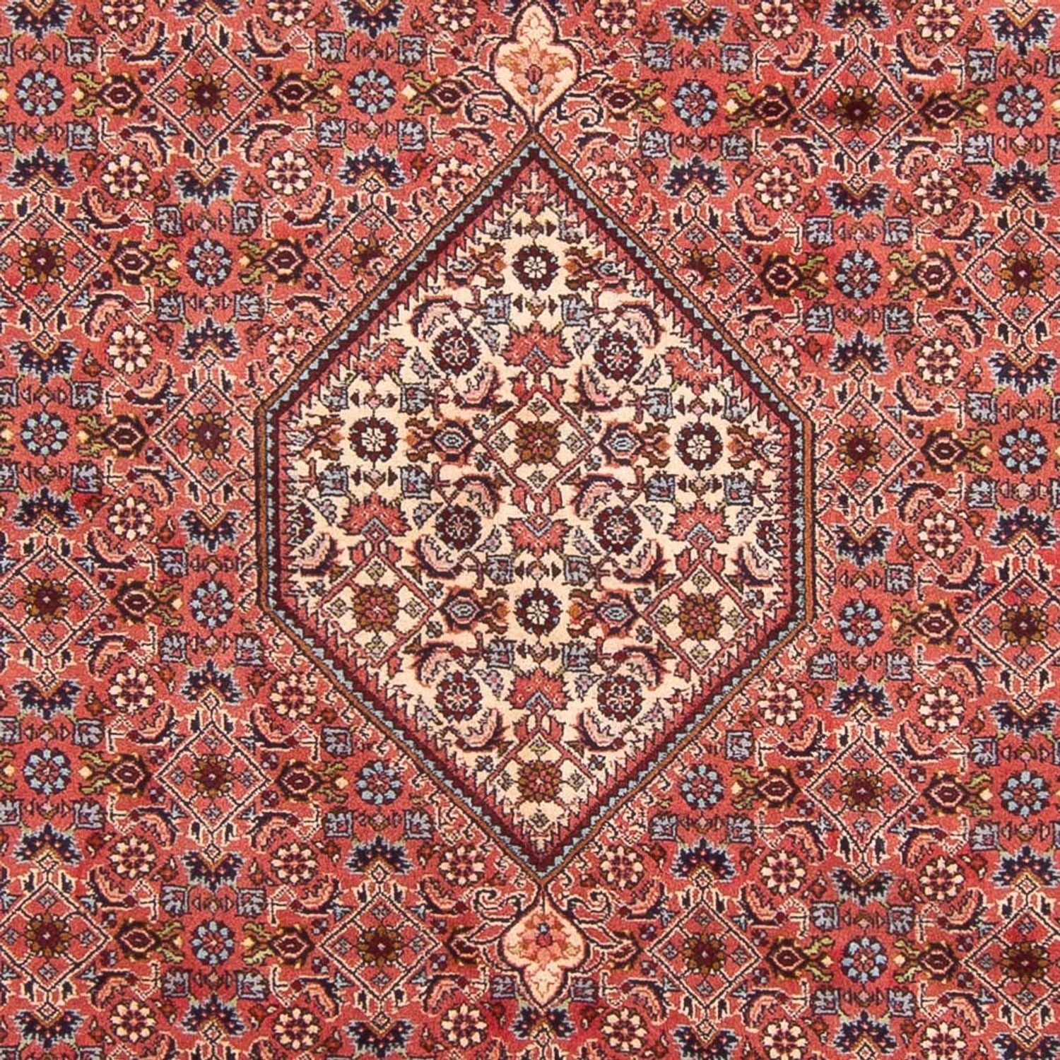 Alfombra persa - Bidjar - 290 x 204 cm - rojo