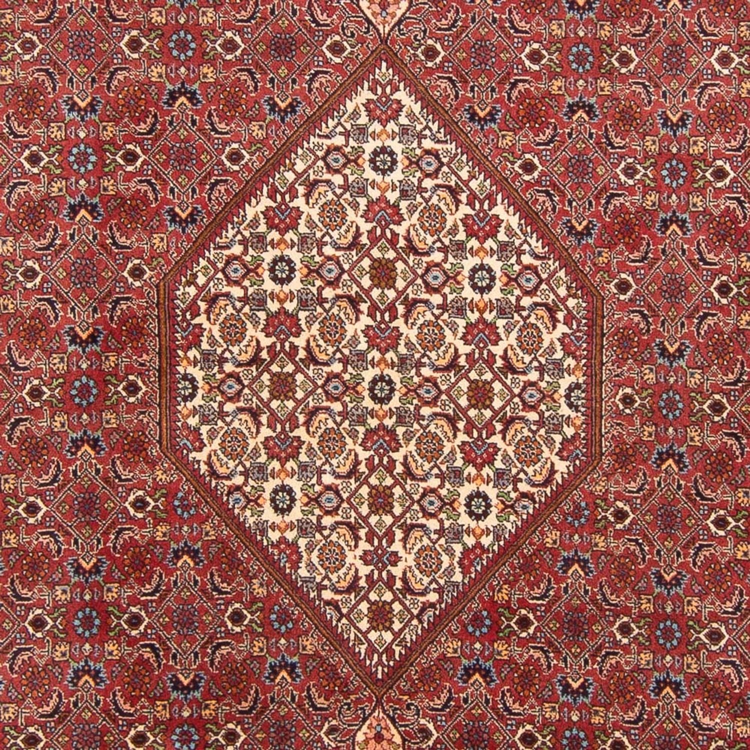 Alfombra persa - Bidjar - 303 x 200 cm - rojo
