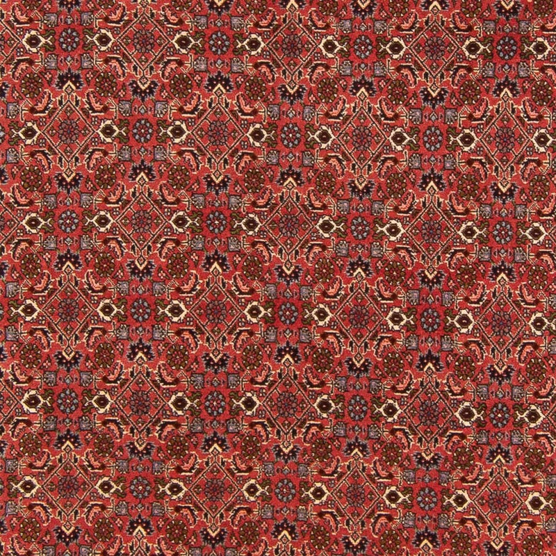 Alfombra persa - Bidjar - 289 x 195 cm - rojo