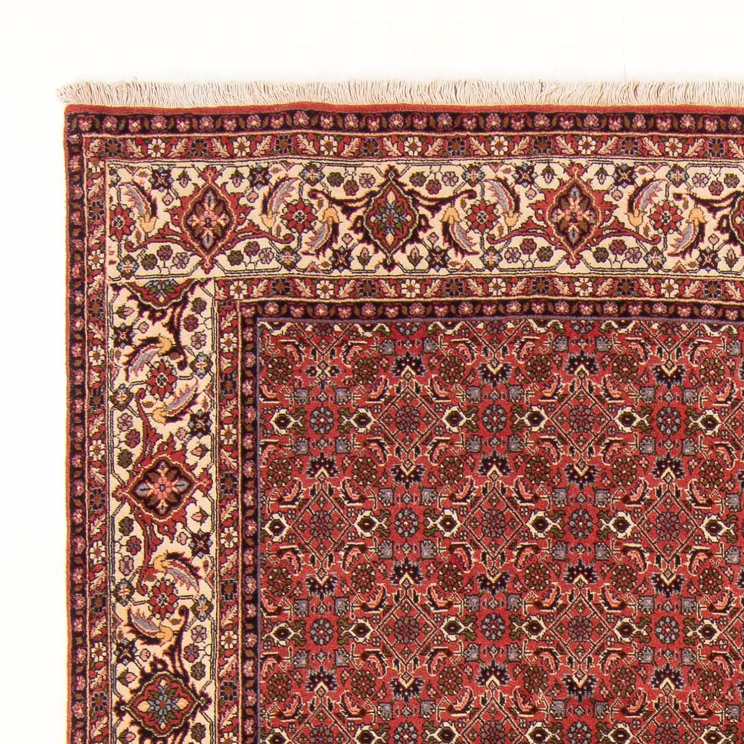 Alfombra persa - Bidjar - 289 x 195 cm - rojo
