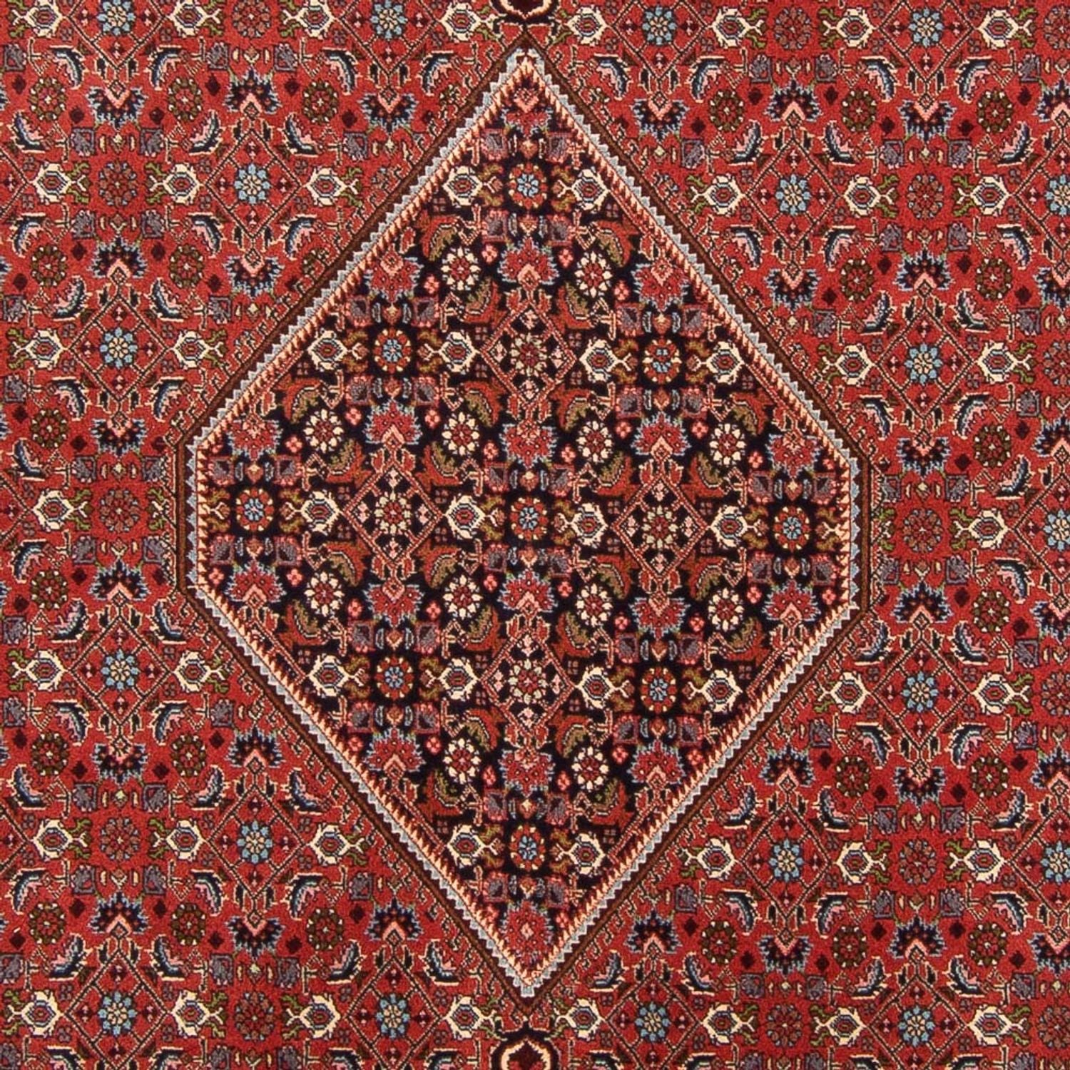 Alfombra persa - Bidjar - 310 x 200 cm - rojo