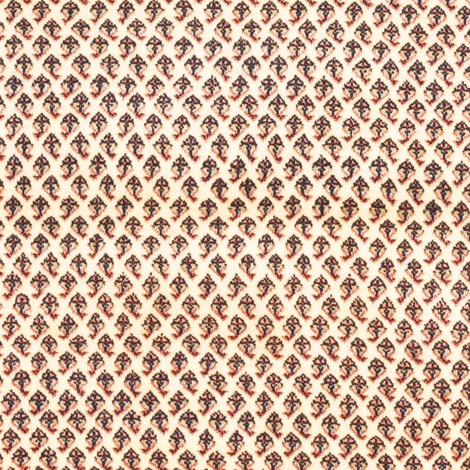 Alfombra persa - Mir - 160 x 107 cm - crema