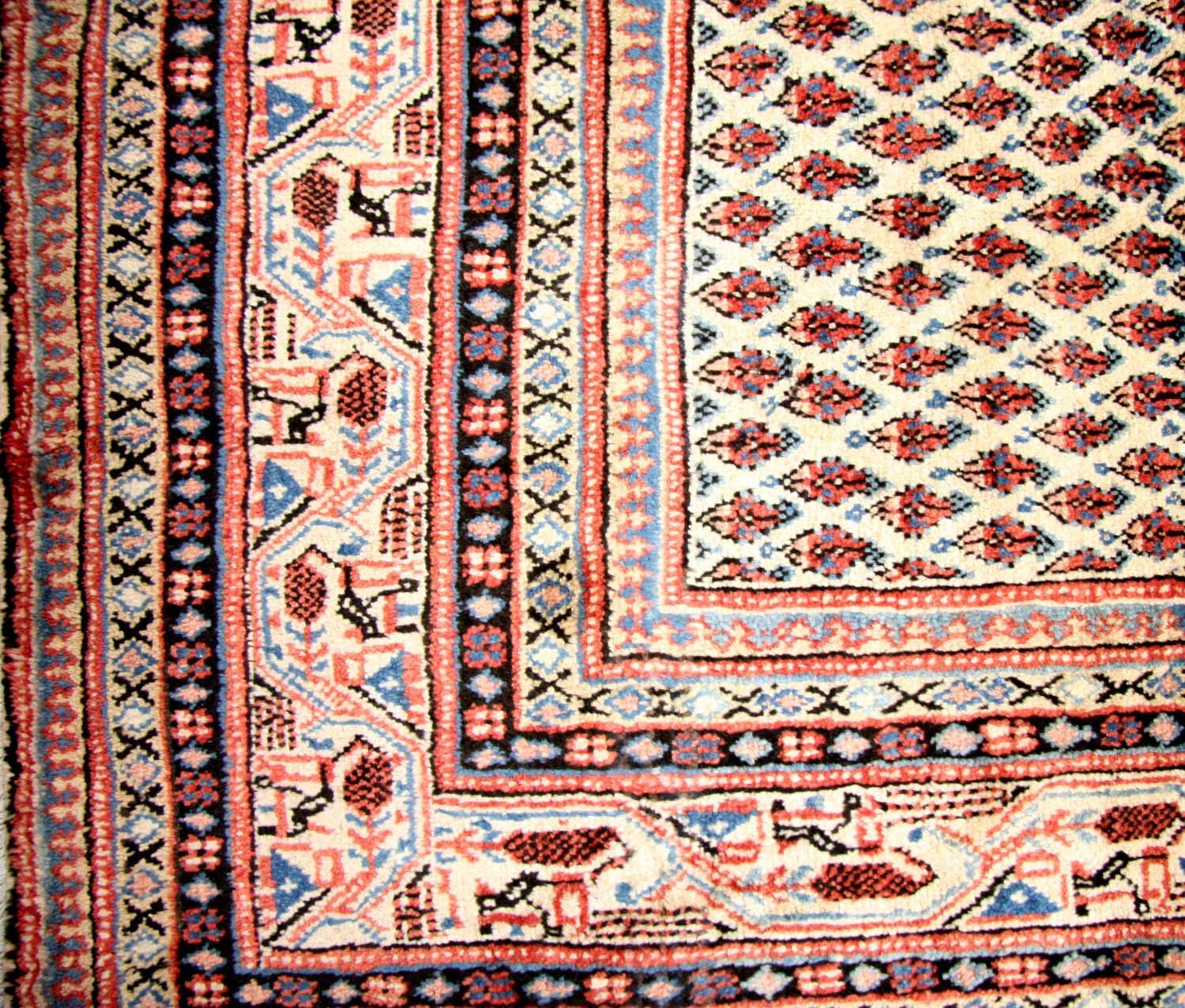 Alfombra persa - Mir - 314 x 237 cm - beige