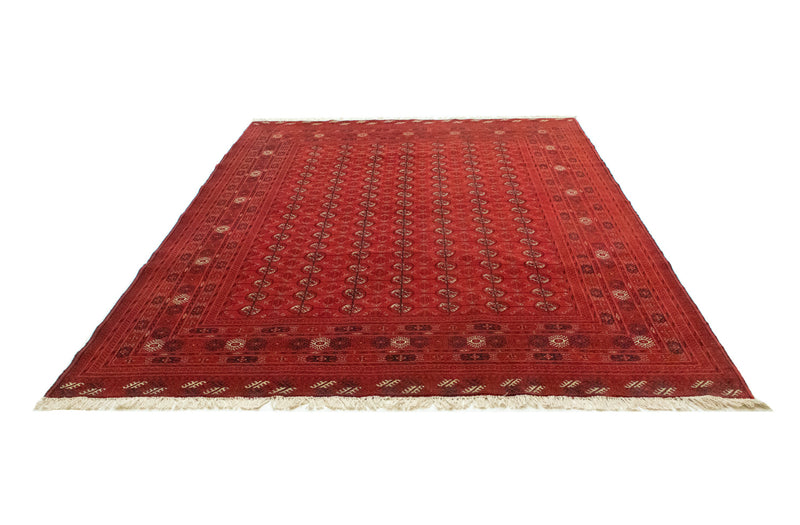 Alfombra afgana - Bukhara - 288 x 202 cm - rojo oscuro