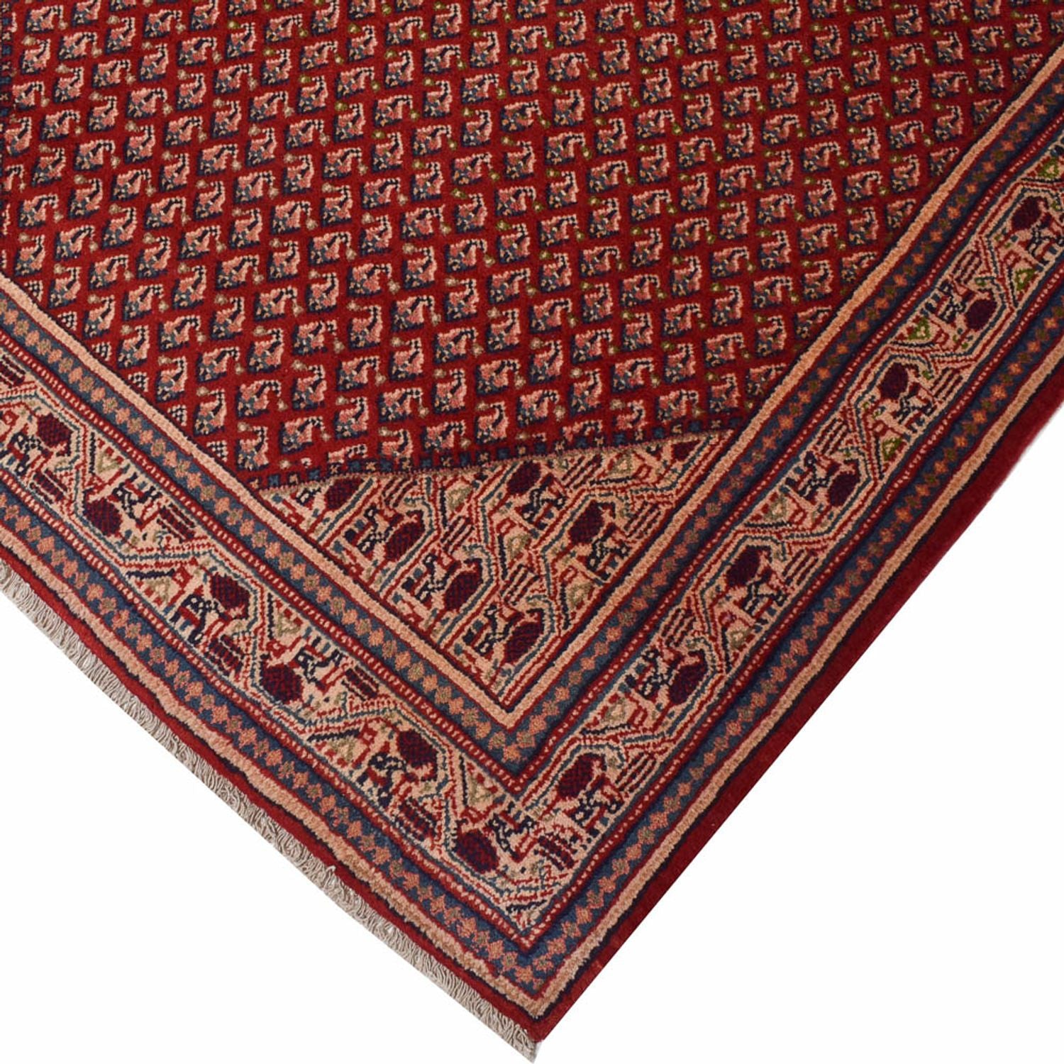 Alfombra de pasillo Alfombra persa - Mir - 523 x 111 cm - óxido