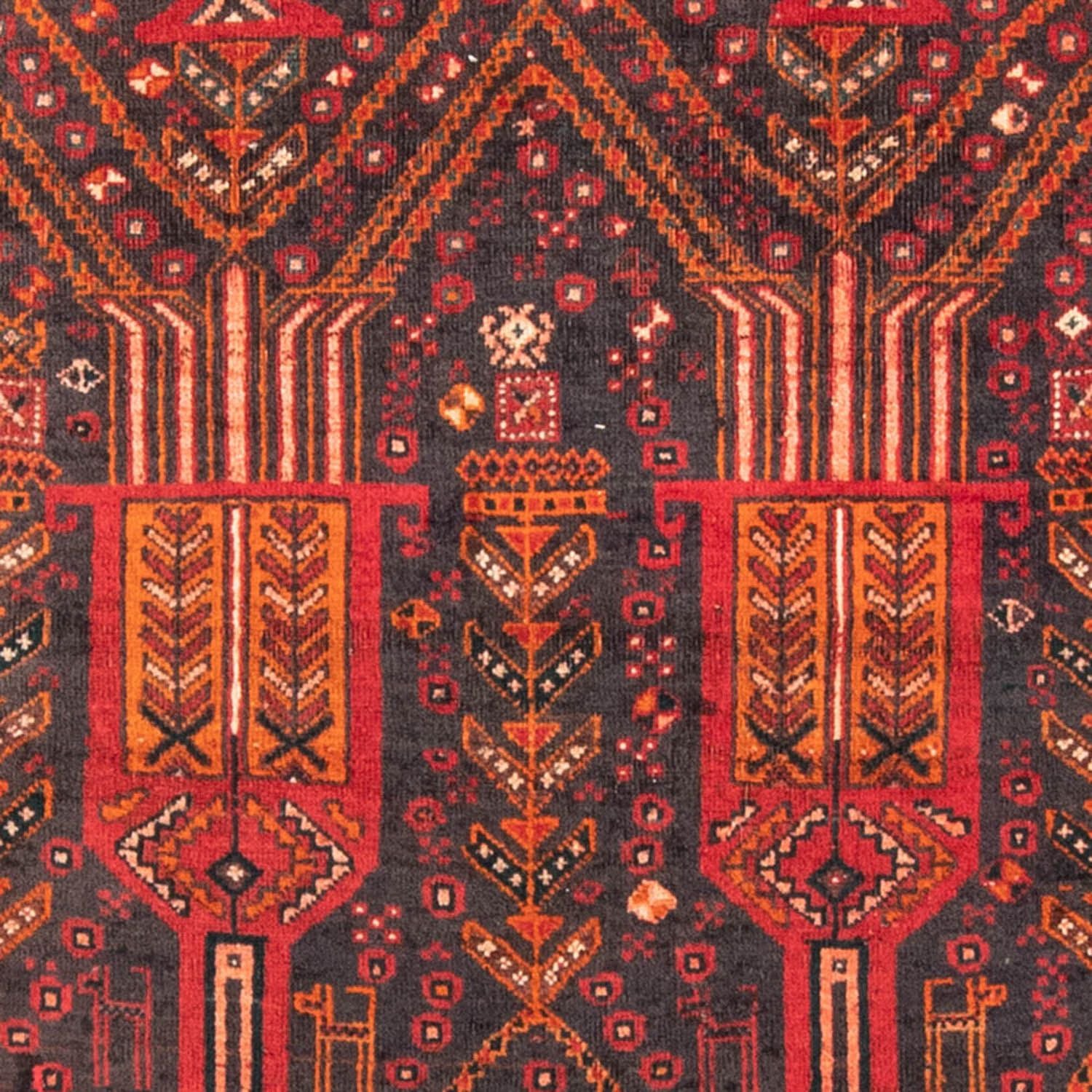 Alfombra de pasillo Alfombra Belutsch - 239 x 111 cm - óxido