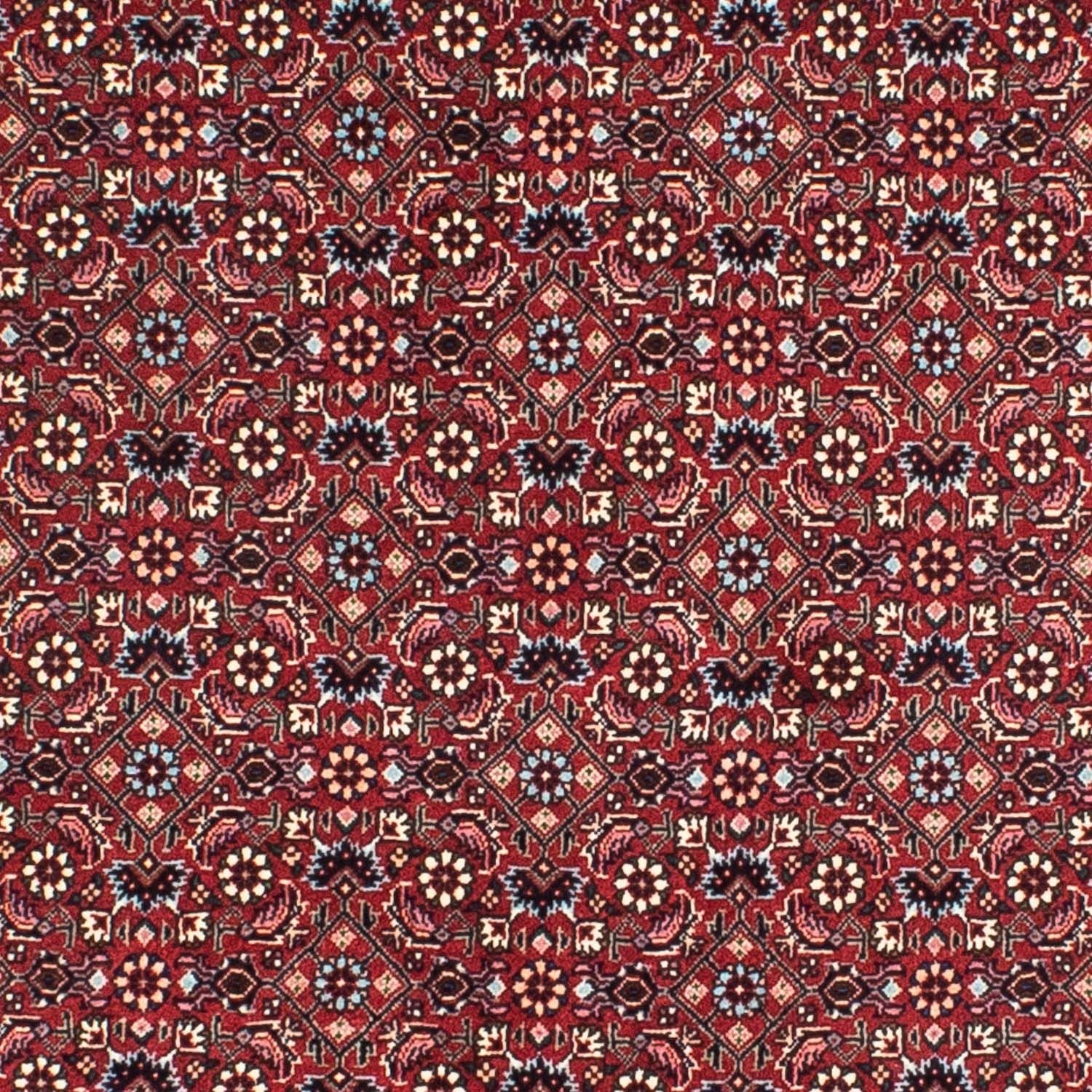 Alfombra persa - Bidjar redondo  - 155 x 155 cm - rojo oscuro