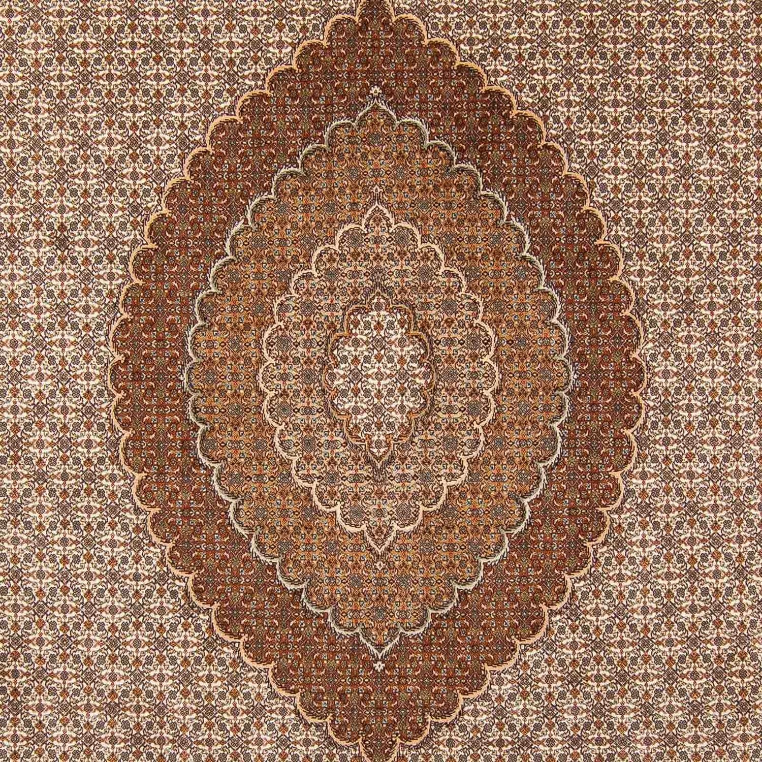 Alfombra persa - Tabriz - 360 x 249 cm - marrón claro