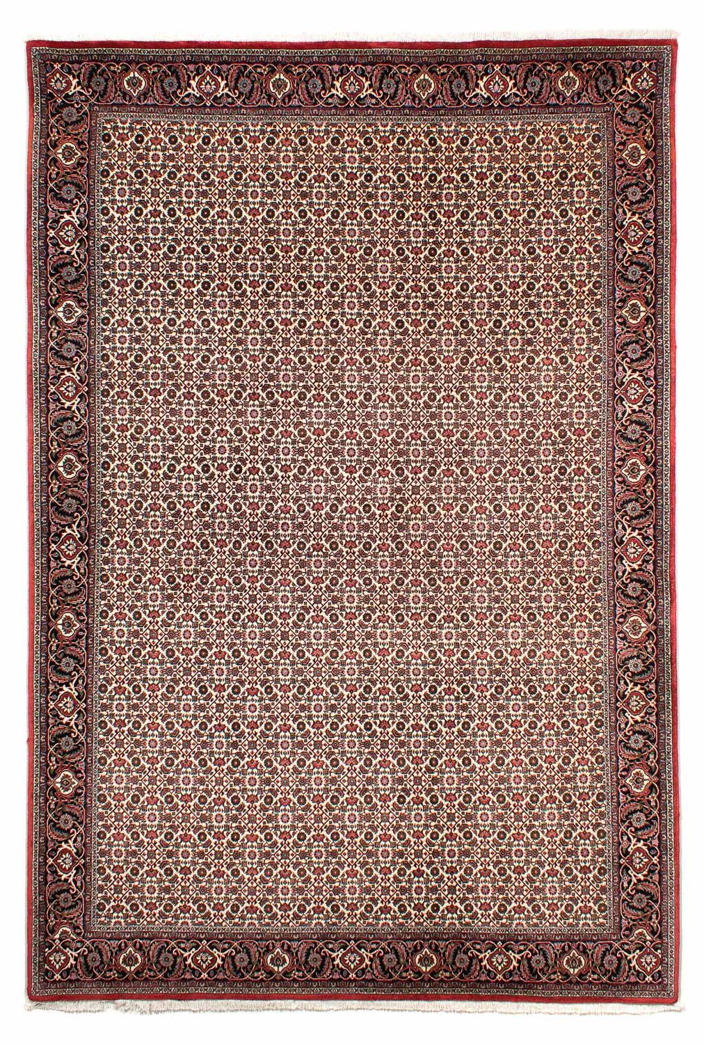 Alfombra persa - Bidjar - 294 x 200 cm - beige
