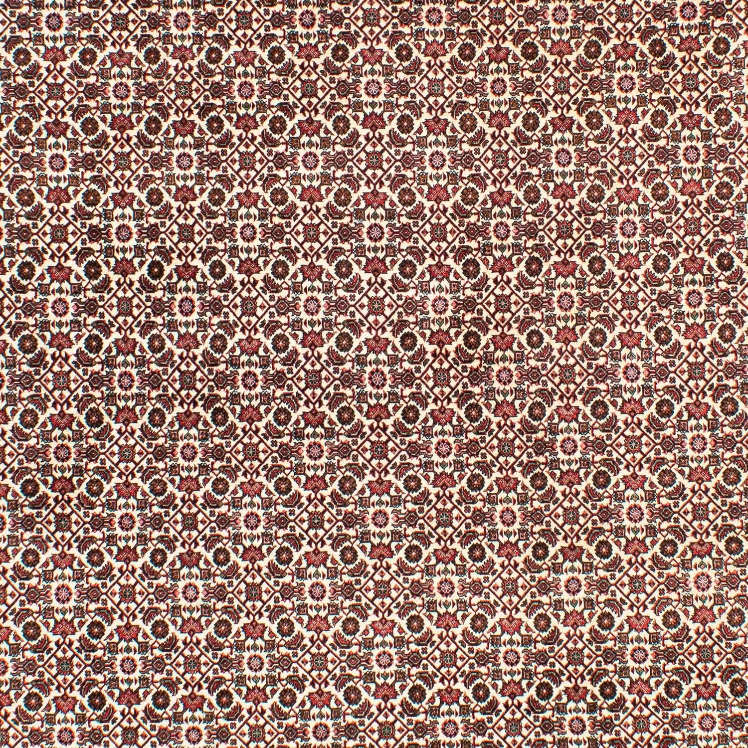 Alfombra persa - Bidjar - 294 x 200 cm - beige