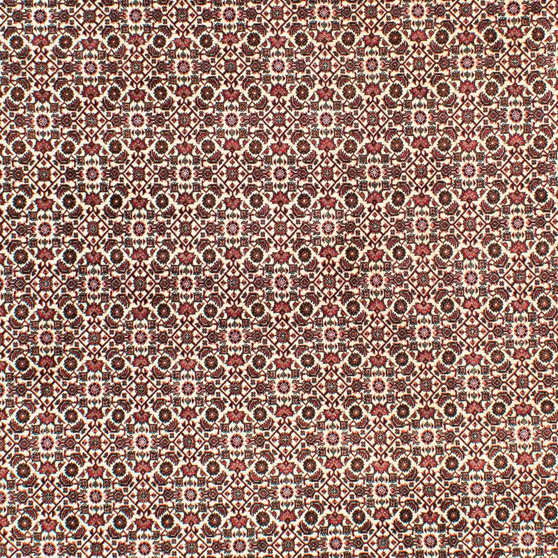 Alfombra persa - Bidjar - 294 x 200 cm - beige