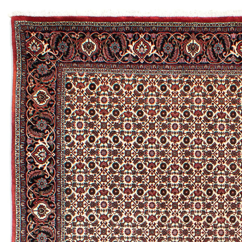 Alfombra persa - Bidjar - 294 x 200 cm - beige