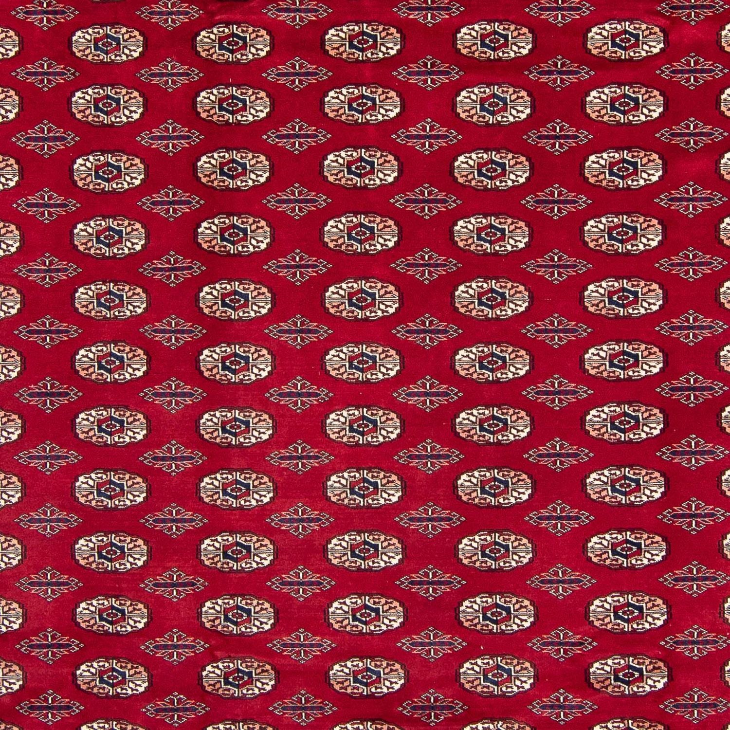 Alfombra afgana - Bukhara - 303 x 253 cm - rojo