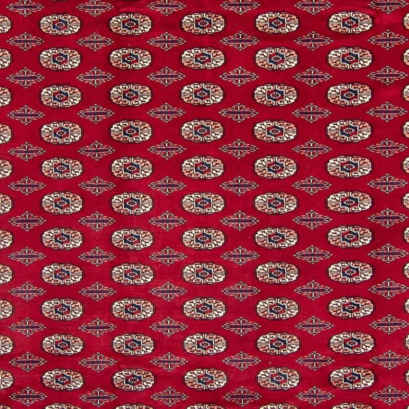Alfombra afgana - Bukhara - 303 x 253 cm - rojo