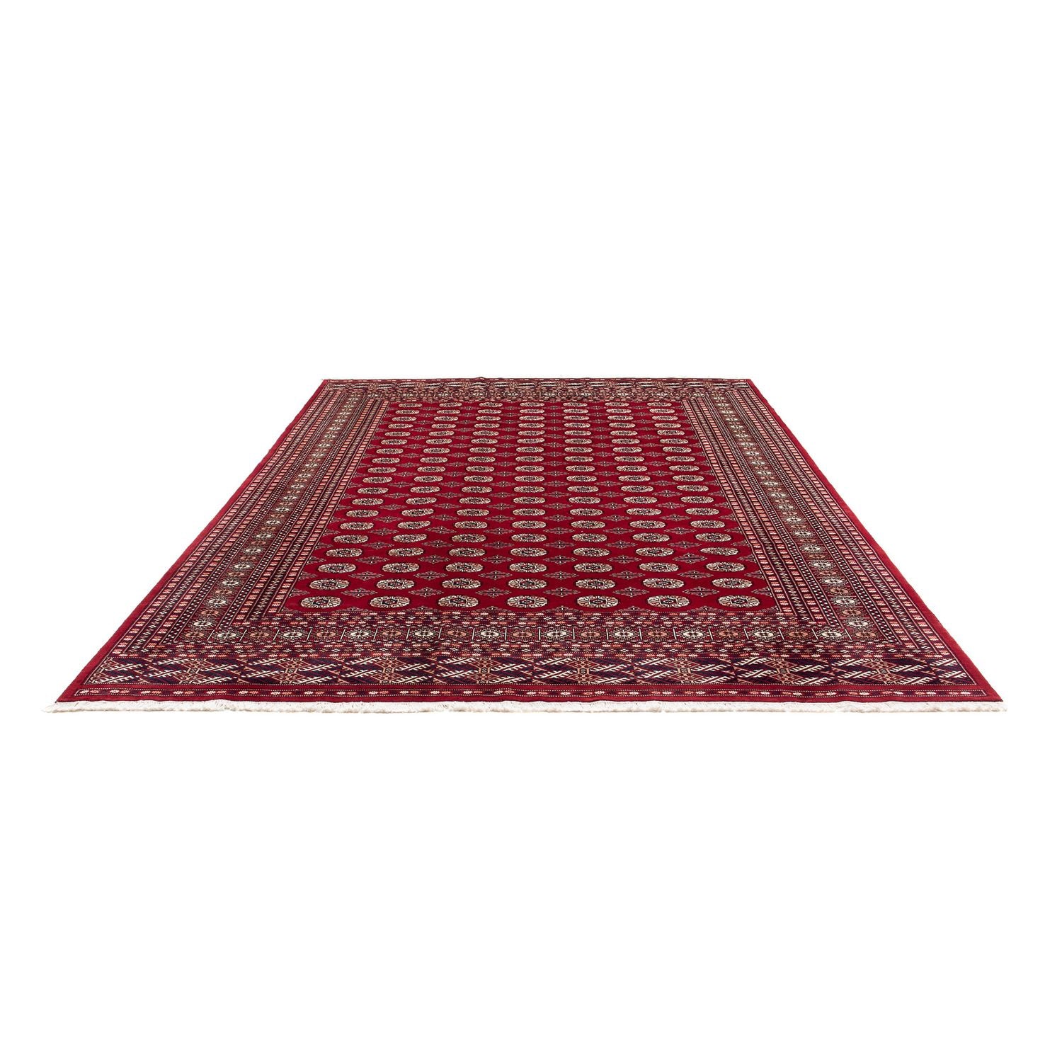 Alfombra afgana - Bukhara - 303 x 253 cm - rojo