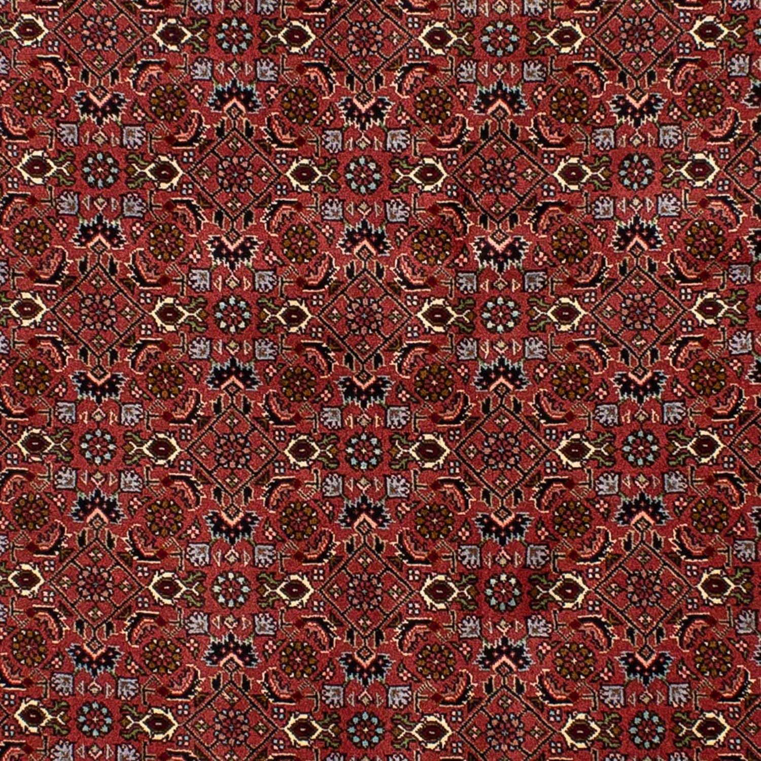 Alfombra persa - Bidjar - 205 x 136 cm - rojo oscuro
