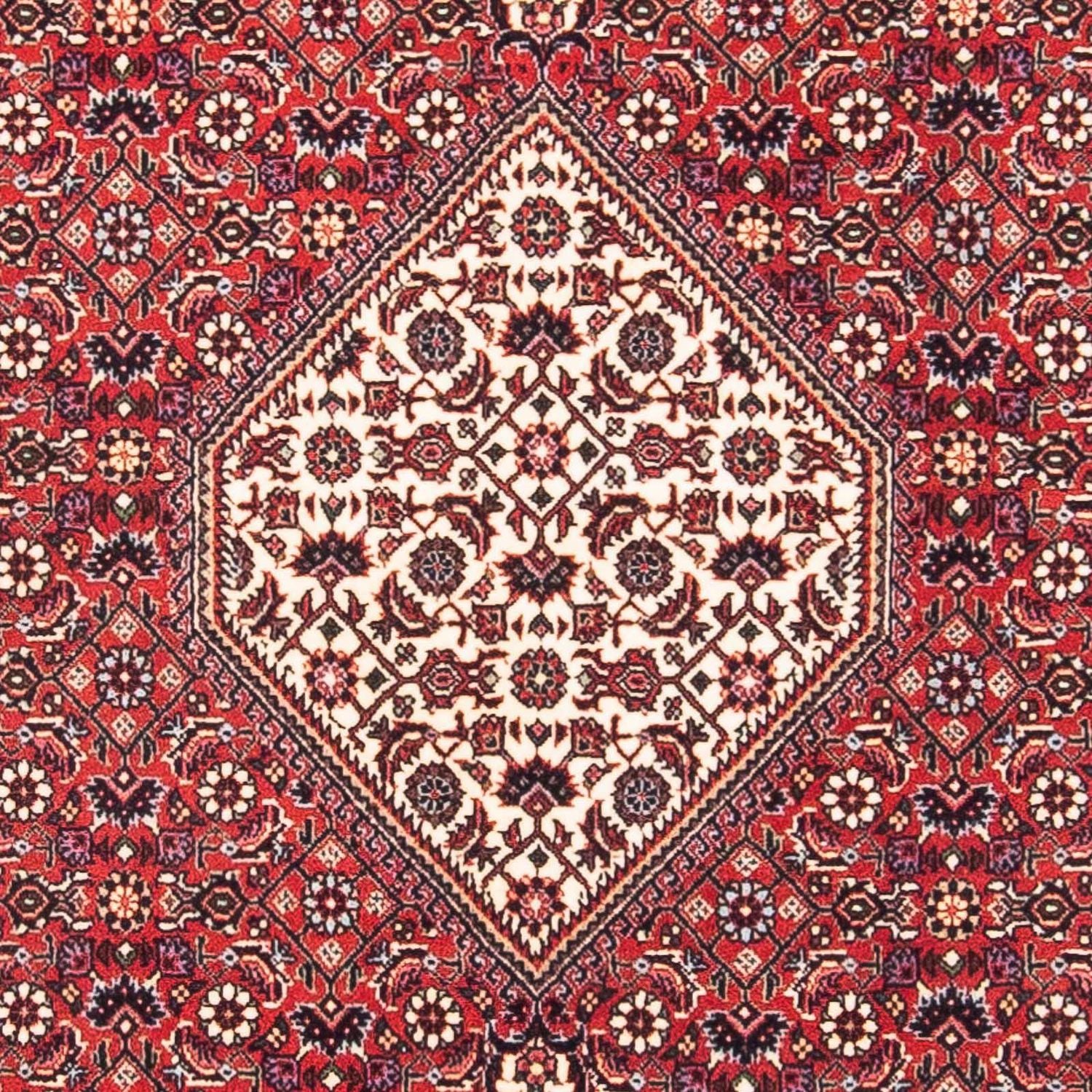 Alfombra persa - Bidjar cuadrado  - 115 x 101 cm - rojo