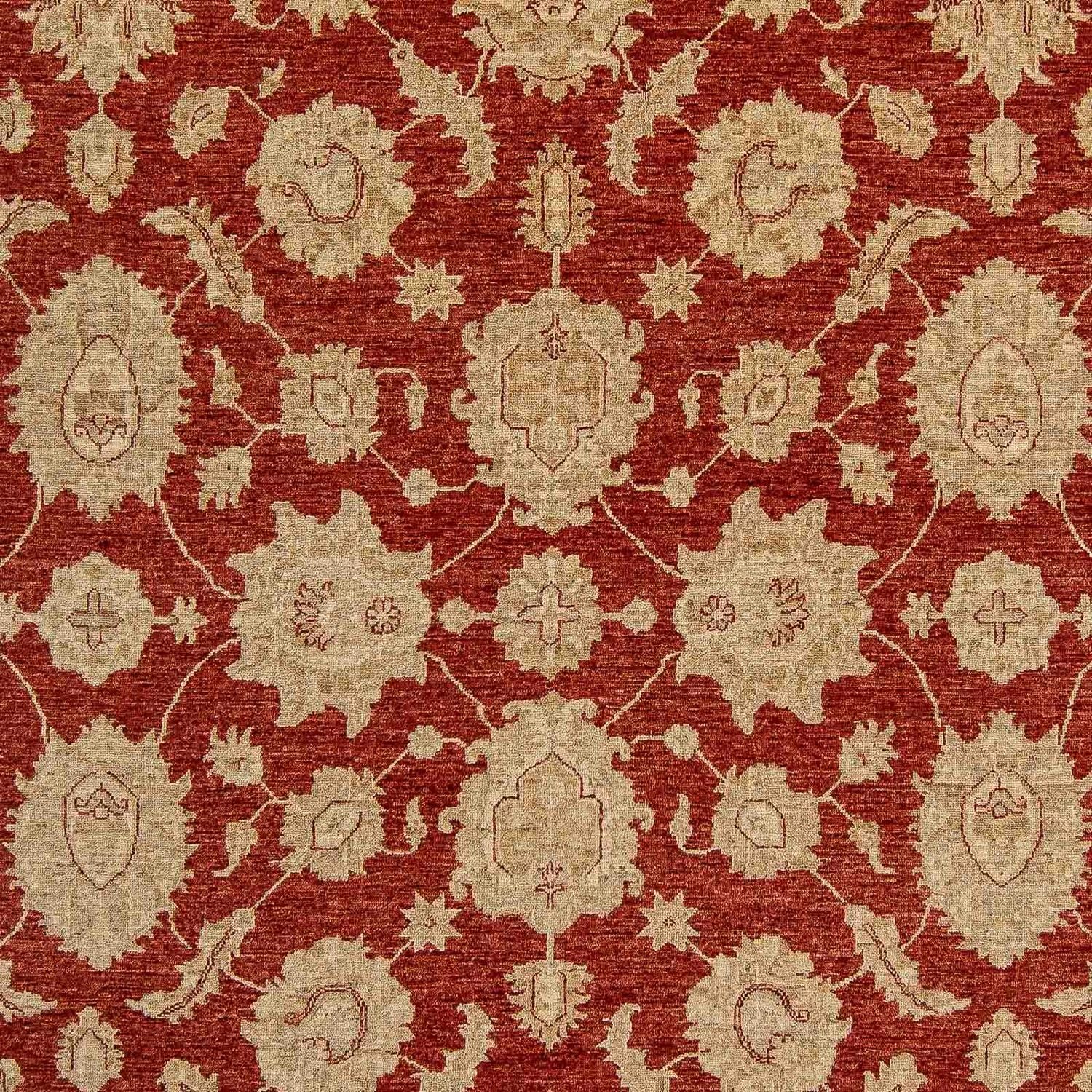 Alfombra Ziegler - 321 x 244 cm - rojo oscuro