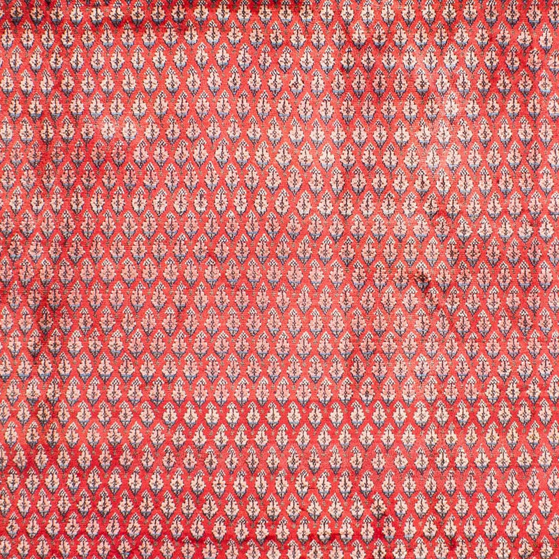 Alfombra persa - Mir - 317 x 219 cm - rojo